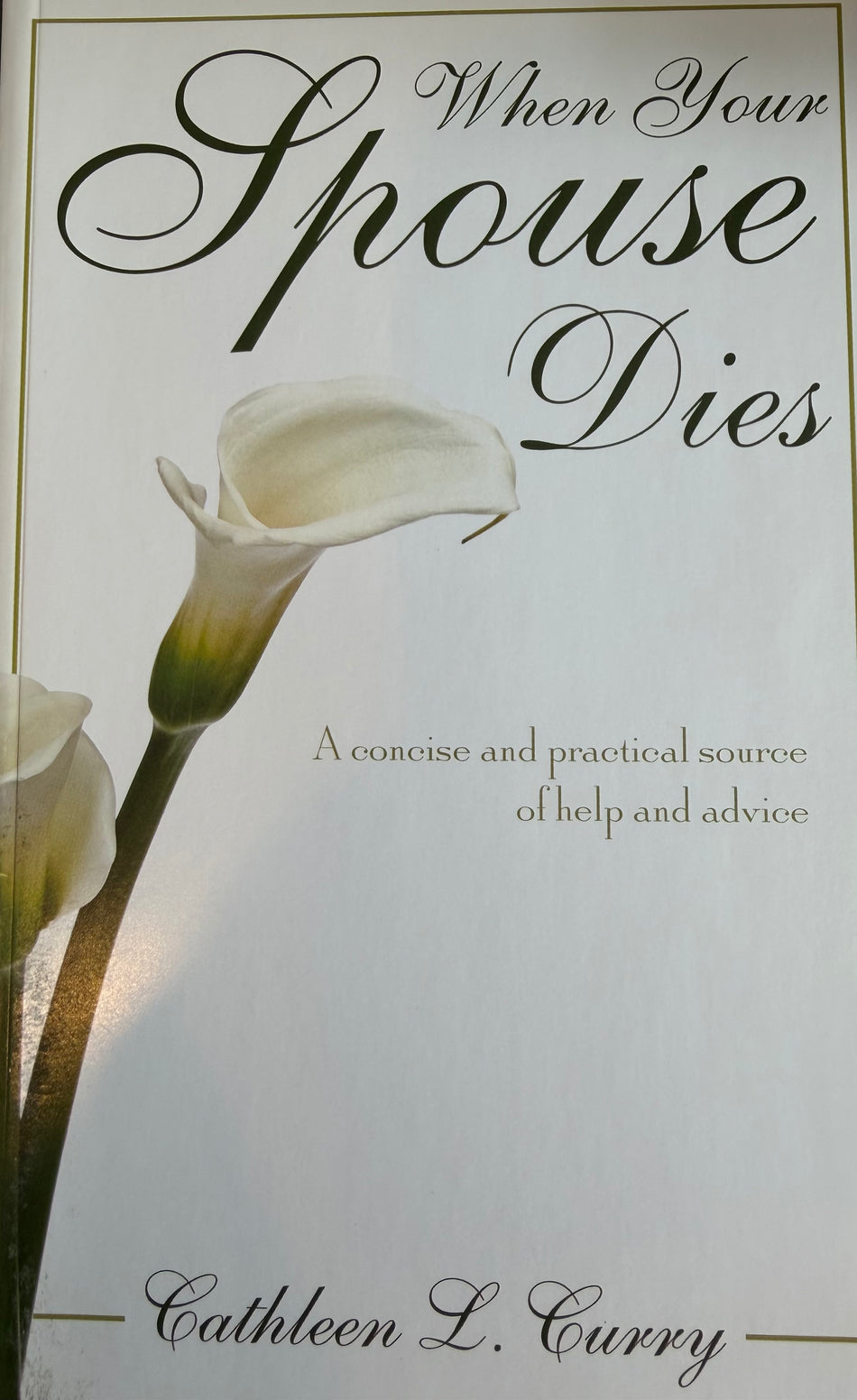 When Your Spouse Dies: A Concise and Practical Source of Help and Advice Paperback – Sale